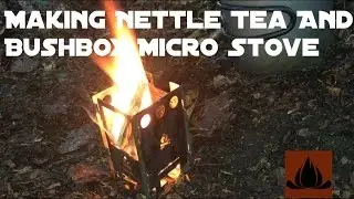 Making Nettle Tea And Bushbox Micro Stove