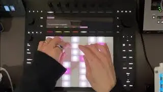 Pad練習 2026/1/30