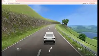Mr. Sleepy Cat drives in slowroads.io (2)