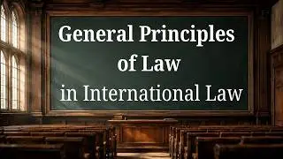 General Principles of Law in International Law | IntlLaw Academy's lectures with Professor Walter