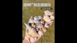海神广场左侧海沟 记得看潮汐表退到两米左右再去，越“早”机会越大，别等别人捡完了再去🤣#一般人不知道是什么 #捡贝壳#北海