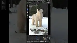 Blender Multi-Camera Switching
