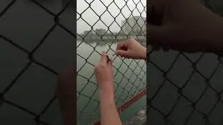 ellisbridge ka sach