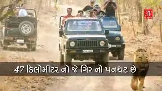 Sasar Gir