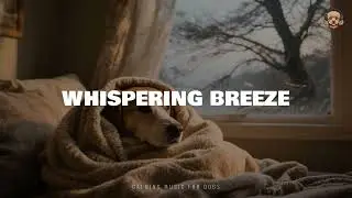 Whispering Breeze &ndash; Bark & Chill Soundtrack | Peaceful Companionship Music