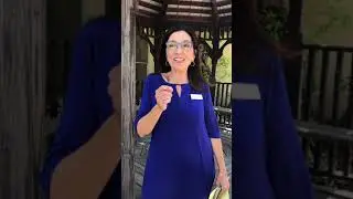 Augustina Holtz Senior Real Estate Specialist: Downsizing and What Do You Do With Your Stuff?