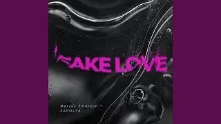 Fake Love