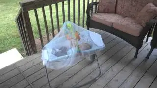 Tiny Love Take-Along Arch and Fisher-Price Auto Rock 'n Play Sleeper