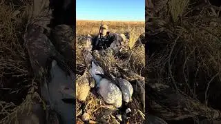 How to properly use a layout blind