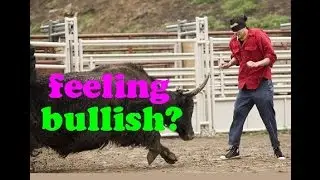 Do you have the GUTS to make money in stocks? // Stock market trading techniques, stock trading 101