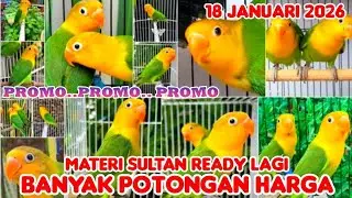 MATERI SULTAN READY LAGI✓18 JANUARI 2026✓BANYAK POTONGAN HARGA