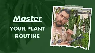 Revolutionize Your Plant Care: My Insider Hack for the Perfect Green Routine 🍃💡🗓️
