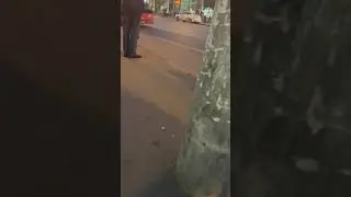 Автобус АС 173 16, по маршруту 10А. Казань. #bus