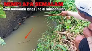 NGERI..!! SPOT SARANG ULAR || MANCING WADER DI SELOKAN
