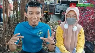 SRAGEN CANTIK BAGI MINITREK MINION INDONESIA