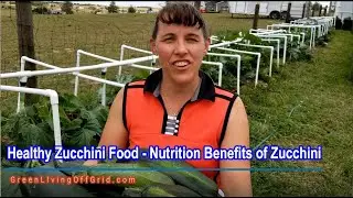 Healthy Zucchini Food - Nutrition Benefits of Zucchini