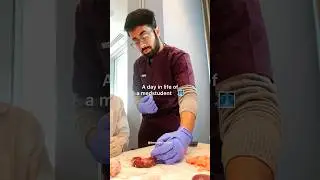 A day studying MBBS in Georgia #mbbs #mbbsabroad #mbbsmotivation #mbbslife #medico #seu #georgia