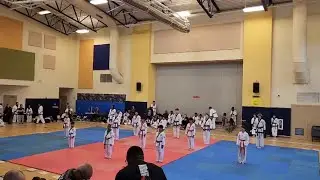 World Hanguk Tang Soo Do Demo (November 5th 2022)￼