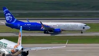 Spotting Alaska Honoring Those Who Serve livery (N265AK)