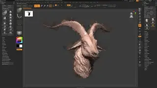 Начало работы с ZBrush, часть 25 &mdash; BPR-рендер