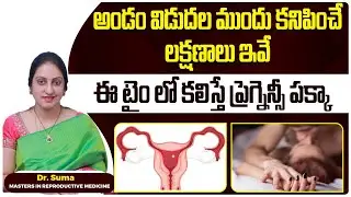How to Track Ovulation | 4 Signs of Ovulation - Ovulation Signs and Symptoms | Dr.Suma | Ferty9