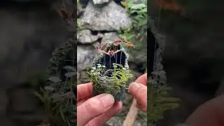 The Flying bird is sOo Cool_👌🥀❤️#viralvideos #viralshots #handmade