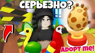Срочно ЗАХОДИ в Адопт Ми😱Узнала СЕКРЕТ нового ОБНОВЛЕНИЯ Adopt Me НОВОЕ ЯЙЦО САФАРИ? NEW EGG UPDATE