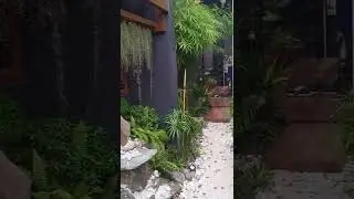 pao's xeriscape garden landscaping