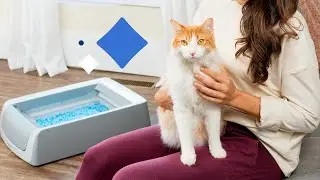 PetSafe ScoopFree Crystal Pro Self-Cleaning Cat Litter Box 🧼🐱 | Motion-Sensing, Health Counter
