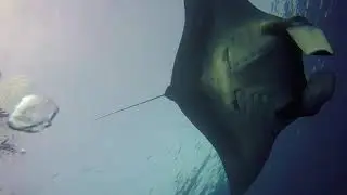 Scuba Libre Adventures Burma 2019 Trailer