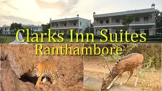 A Fine Weekend - Clarks Inn Suites, Ranthambore