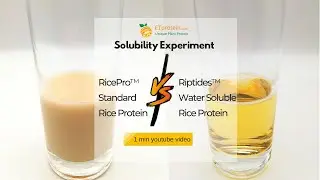 RicePro VS Riptides Solubility experiment-ETprotein