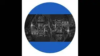 1FM - Adult Affix (Illegal Alien Records, IARLTDT006)