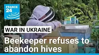 Ukrainian beekeeper refuses to abandon hives as Russian troops advance &bull; FRANCE 24 English
