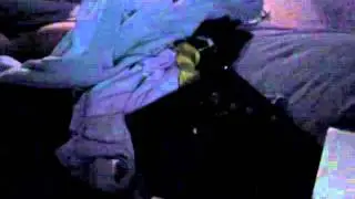 Attempt at PA Part 5