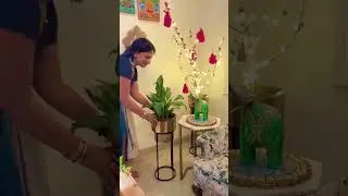 Urvann Plant Haul & Honest Urvann Plant Review | Fresh Plants delivered
