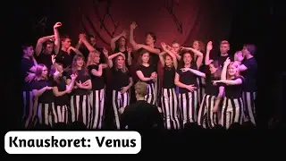 Venus (Lady Gaga acapella cover)