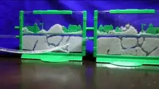 Ant Farm time lapse: Uncle Milton's