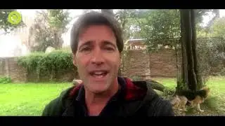 TOMY DUNSTER - 350 A&Ntilde;OS DE QUILMES