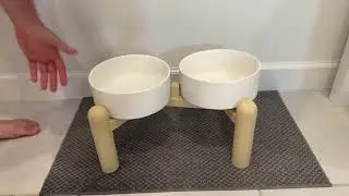 Elevated Ceramic Dog Bowl Set, Heavy Duty Double Dishes with Anti Slip Stand Review
