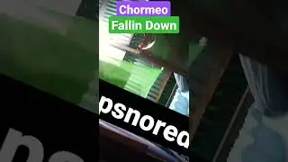 Chormeo Fallin Down Song #chormeo #ig