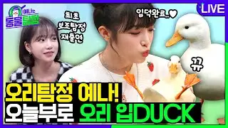 🔴LIVE🔴드디어 만났다💕 《예나는동물탐정》 도시오리 편 with 보조탐정 유리🐤🐥