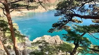 Экстракт Трепанга | Sea Cucumber extract