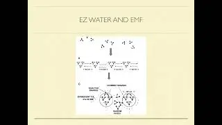 AMCC - Video 12 - Health effects of electromagnetic waves:
