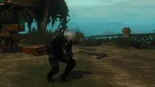 The Witcher 3 rtx 3080 ti & old core i7 6700k   144 fps-  ultra