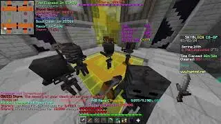 [Hypixel Skyblock] Solo Crush