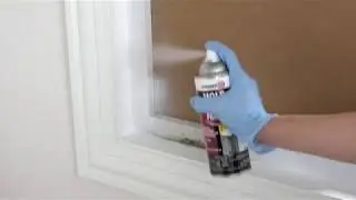 Got Mold? How to treat Mold with Zinsser Mold Blocking Primer Spray.