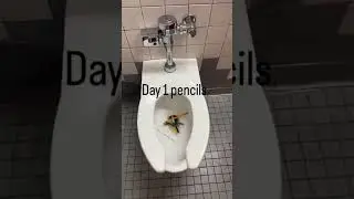 Day 1 of Flushing Things