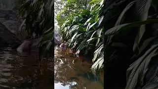 &ldquo;A Story the Water Has Told for Centuries&rdquo;#river #story #shorts #travel #nature #cinematic #sleep