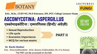 Aspergillus sexual reproduction and its life cycle: Part 2